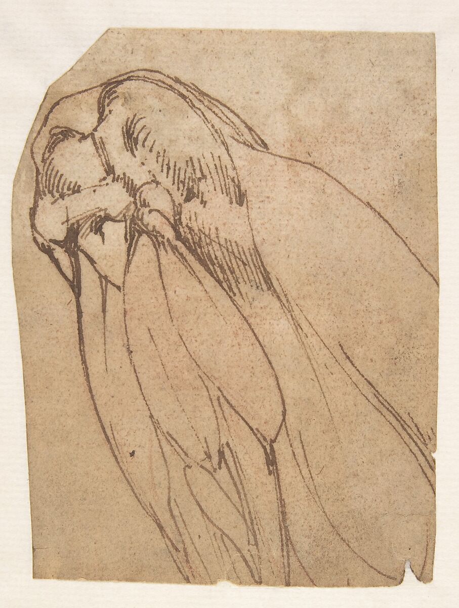 Anatomical Study of a Knee, School of Michelangelo Buonarroti (Italian, Caprese 1475–1564 Rome), Pen and brown ink 