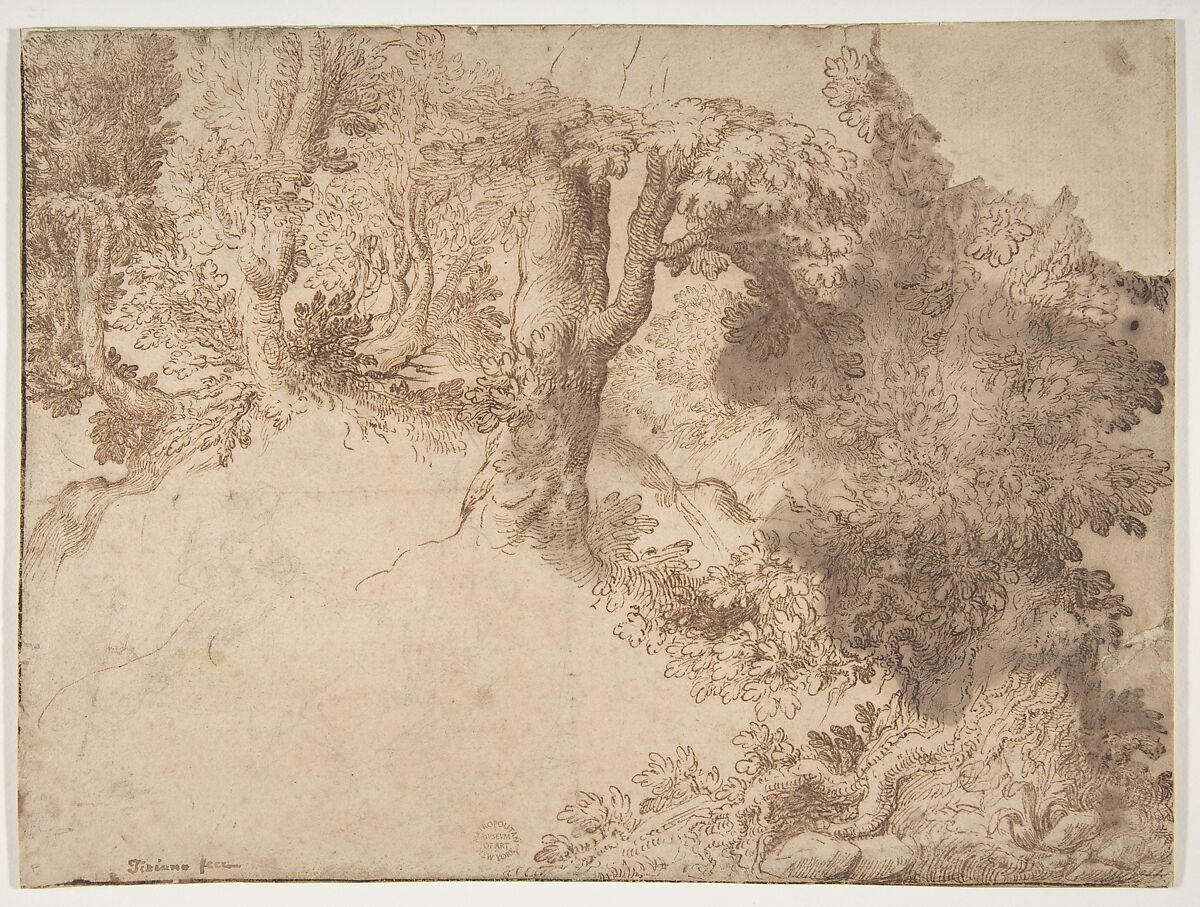 Woodland Scene with Light Sketch of a Madonna and Child, attributed to Girolamo Muziano (Italian, Acquafredda, Brescia 1528–1592 Rome), Pen and brown ink, brush and brown wash, over black chalk, on buff paper 