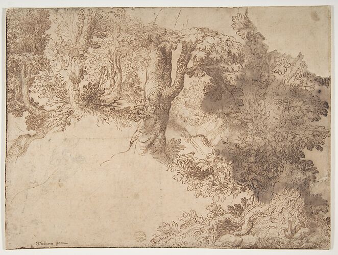Woodland Scene with Light Sketch of a Madonna and Child