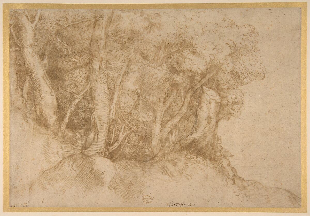 Group of Trees, Titian (Tiziano Vecellio) (Italian, Pieve di Cadore ca. 1485/90?–1576 Venice), Pen and brown ink, traces of gray printer's ink at lower right, on beige paper 