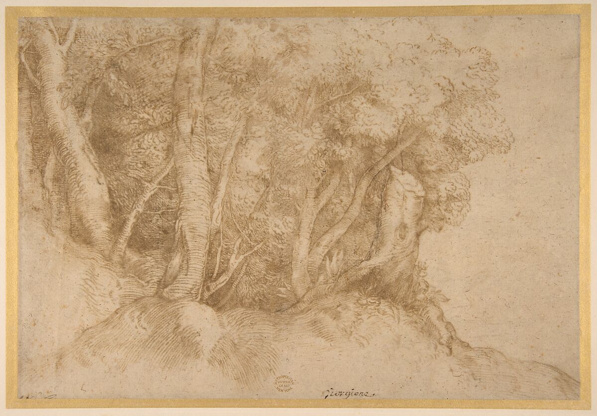 Titian (Tiziano Vecellio), Group of Trees