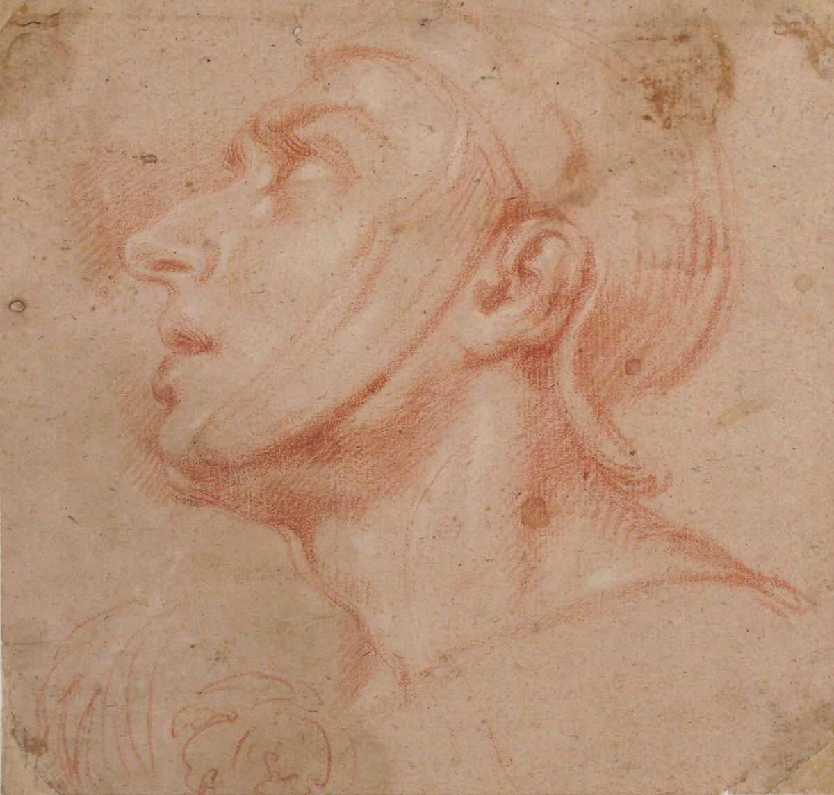 Head of a Man Wearing a Helmet, Looking to Upper Left (recto); Two Sketches, Arms and Hands (verso), Francesco di Maria (Italian, Naples 1623–1690 Naples), Red chalk, highlighted with a little white (recto); black chalk studies of arms (verso)