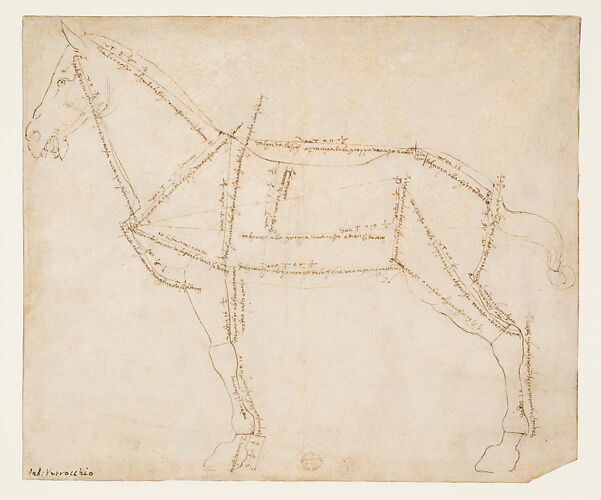 Measured Drawing of a Horse Facing Left (recto)