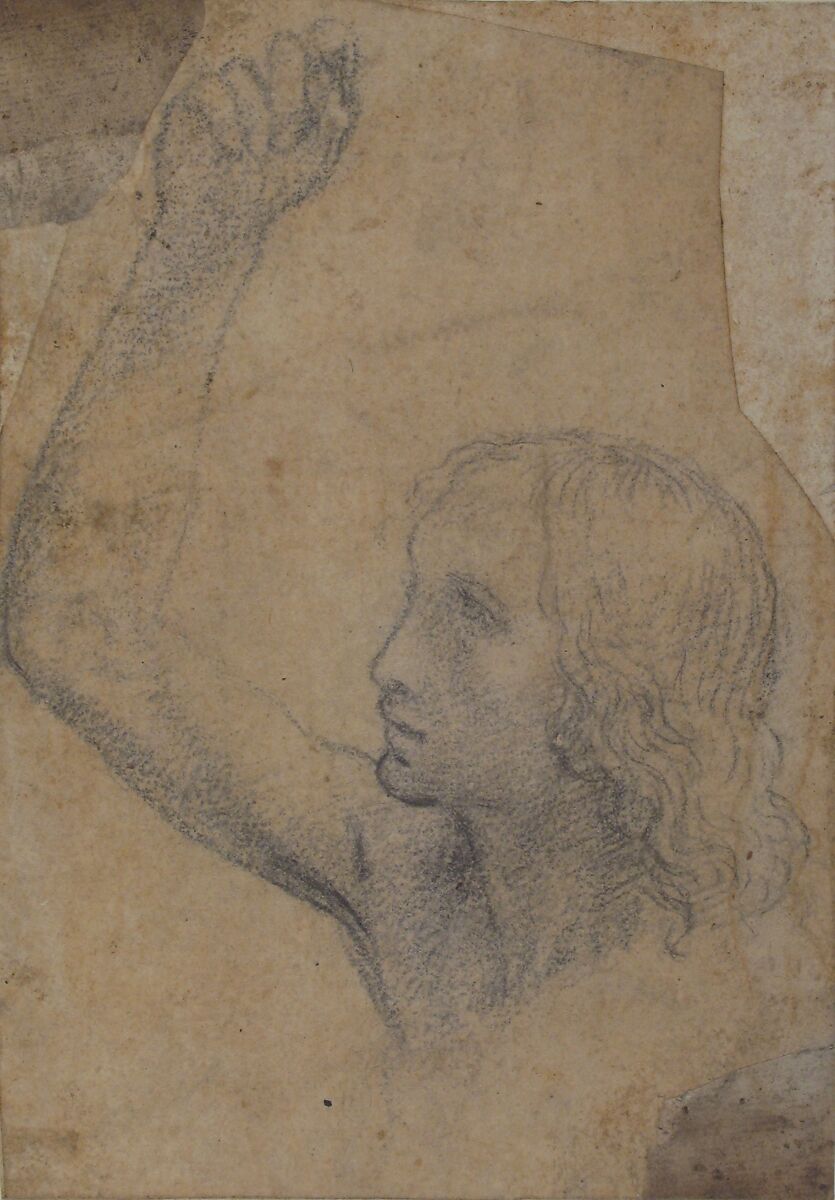 Youth with Right Arm Raised in a Shoulder-Length Portrayal (preparatory study for St. Sebastian), Timoteo Viti (Italian, Urbino 1469–1523 Urbino), Soft black chalk, or charcoal, on paper now very darkened (to beige color)