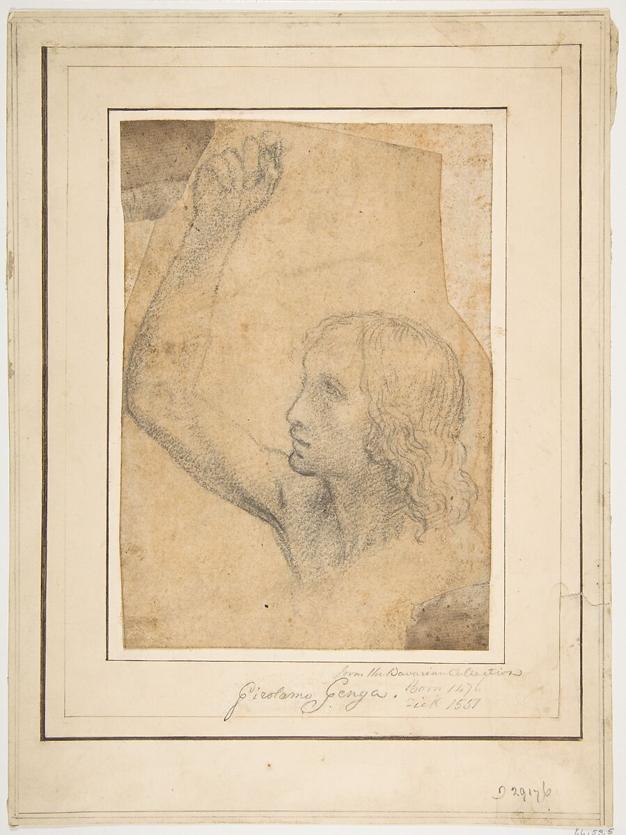 Youth with Right Arm Raised in a Shoulder-Length Portrayal (preparatory study for St. Sebastian), Timoteo Viti (Italian, Urbino 1469–1523 Urbino), Soft black chalk, or charcoal, on paper now very darkened (to beige color)