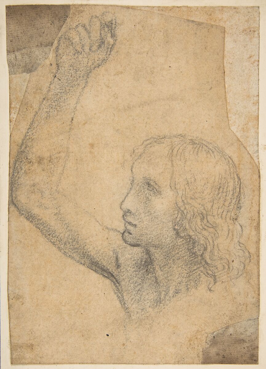 Youth with Right Arm Raised in a Shoulder-Length Portrayal (preparatory study for St. Sebastian), Timoteo Viti (Italian, Urbino 1469–1523 Urbino), Soft black chalk, or charcoal, on paper now very darkened (to beige color) 