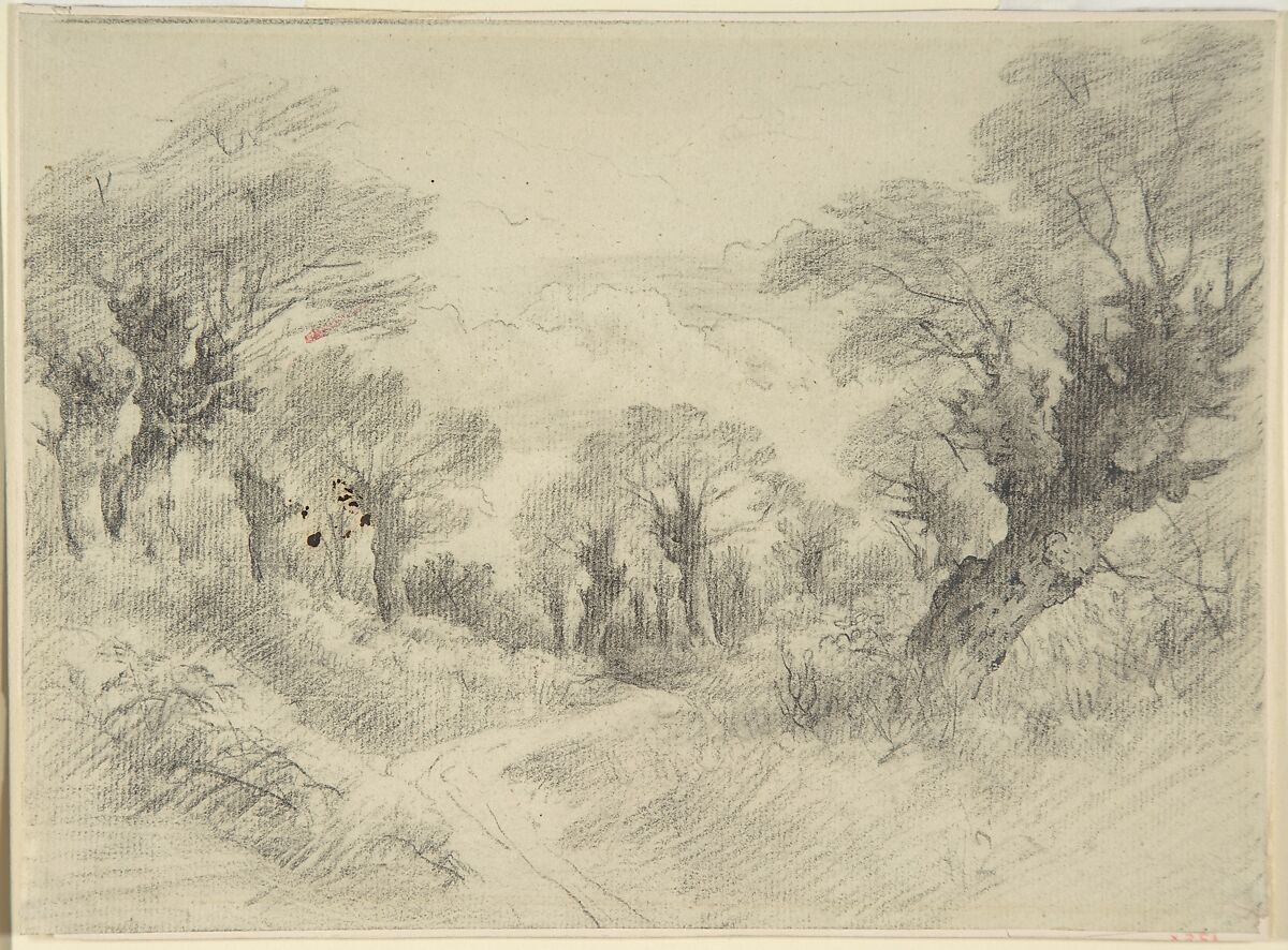 Young Pollards, John Constable (British, East Bergholt 1776–1837 Hampstead), Graphite 