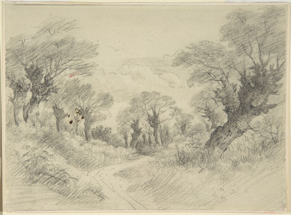 Young pollards, Possibly by John Constable (British, East Bergholt 1776–1837 Hampstead), Black chalk 