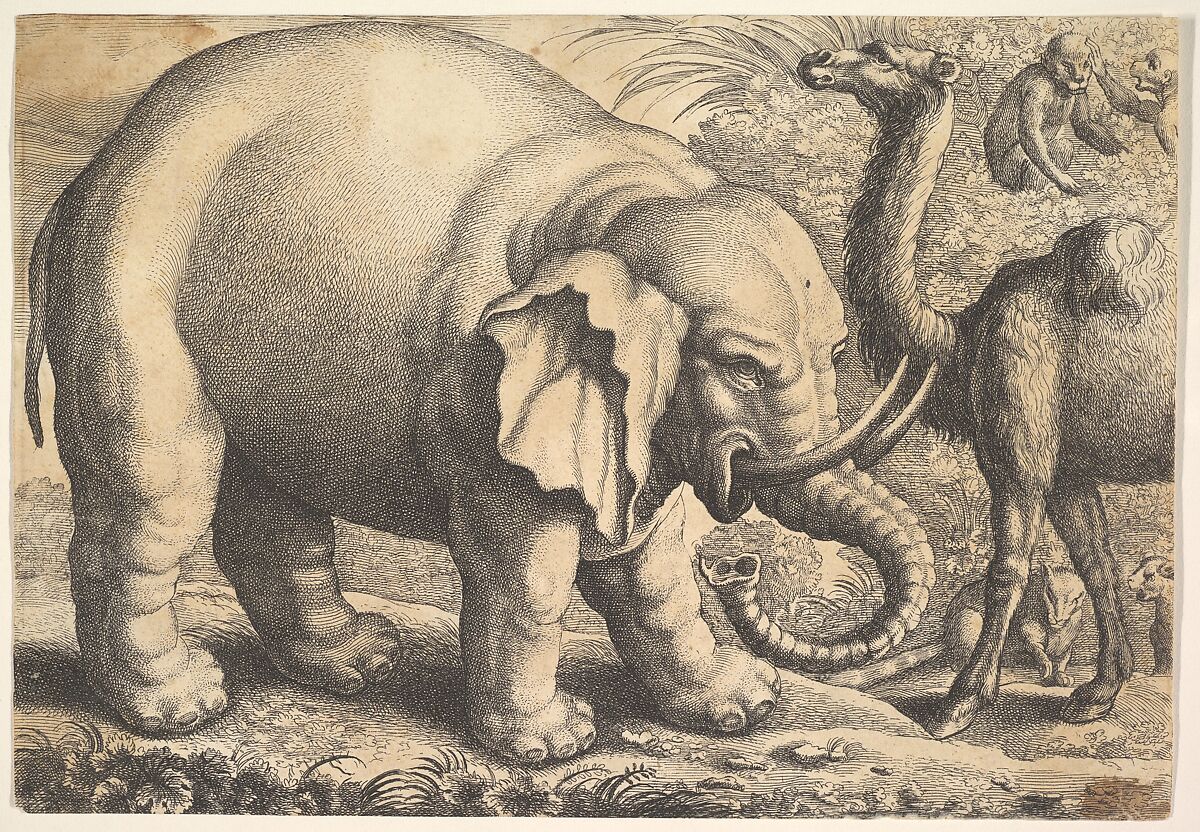 Elephant and Camel (reverse copy), Copy after Wenceslaus Hollar (Bohemian, Prague 1607–1677 London), Etching 