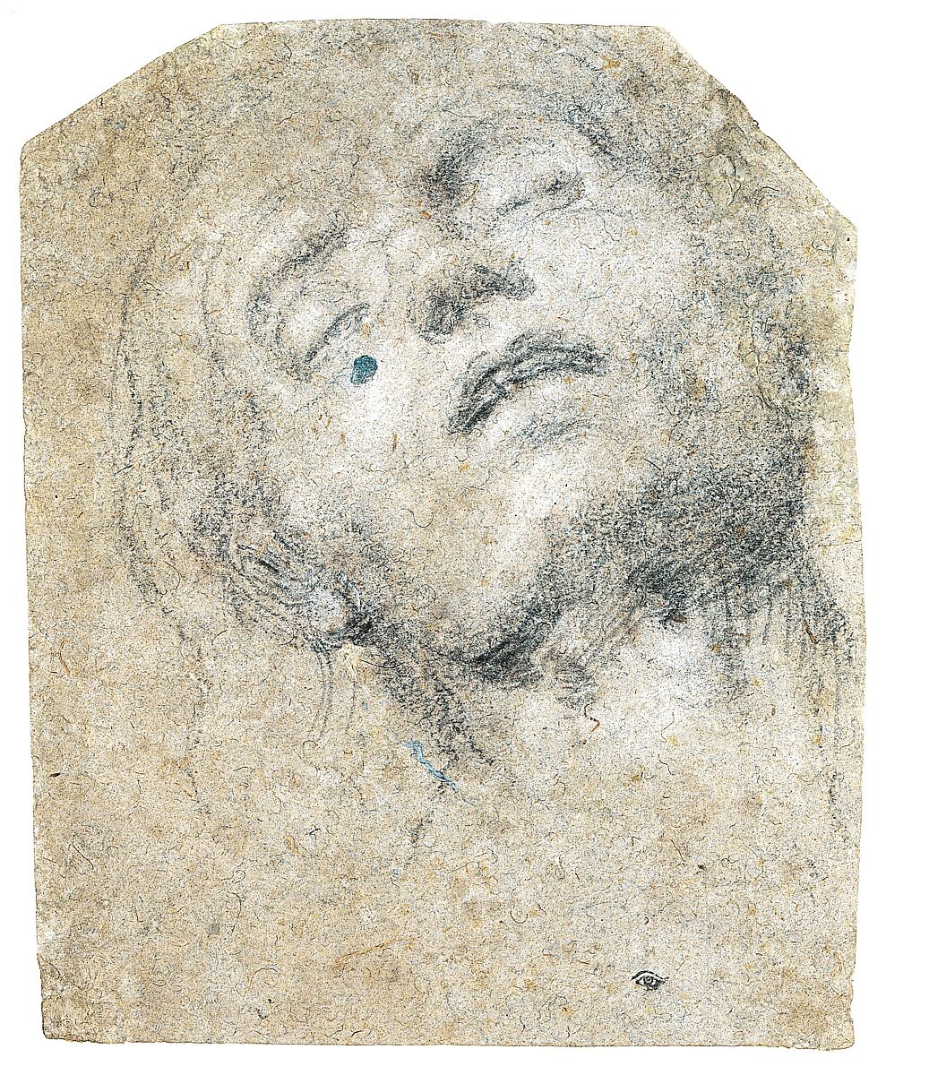 Study of a Head, Giovanni Gerolamo Savoldo (Italian, Brescia 1480/85–after 1548), Black chalk on blue paper, highlighted with white