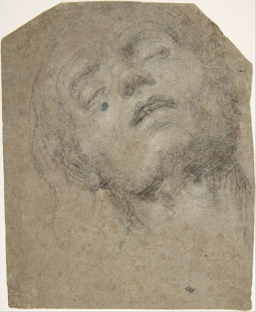 Study of a Head, Giovanni Gerolamo Savoldo (Italian, Brescia 1480/85–after 1548), Black chalk on blue paper, highlighted with white 