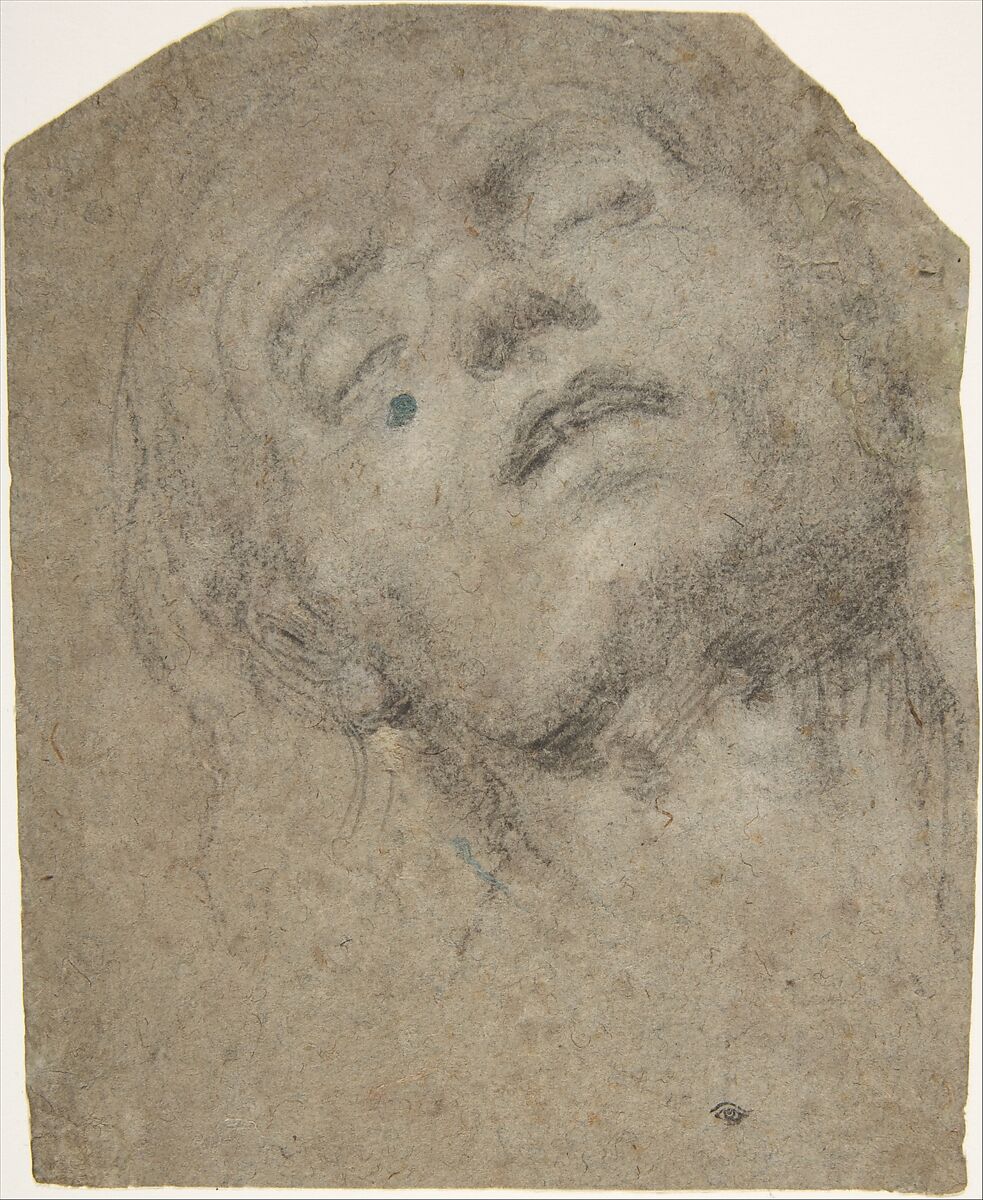 Study of a Head, Giovanni Gerolamo Savoldo  Italian, Black chalk on blue paper, highlighted with white