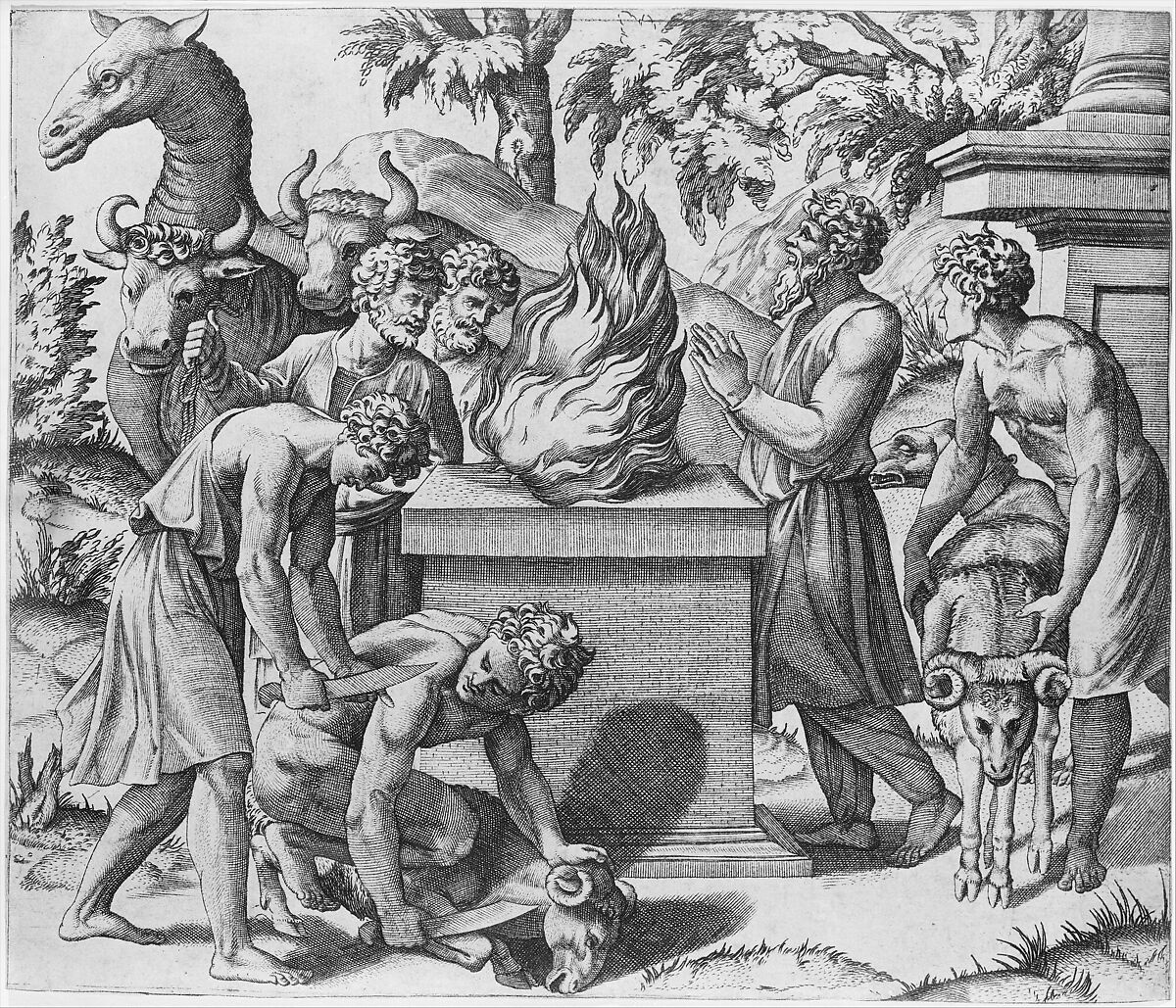 Noah's Sacrifice; Noah at right with his hands clapsed in prayer before a fire upon an altar, two men sacrificing a ram on the ground and another bringing a second ram, two men leading two cows and a camel behind the fire, Marco Dente (Italian, Ravenna, active by 1515–died 1527 Rome), Engraving