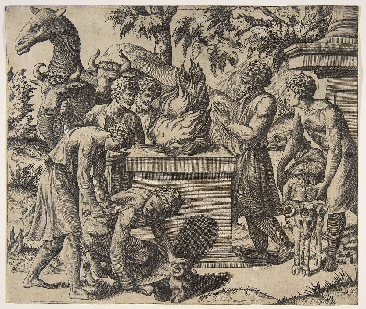 Noah's Sacrifice; Noah at right with his hands clapsed in prayer before a fire upon an altar, two men sacrificing a ram on the ground and another bringing a second ram, two men leading two cows and a camel behind the fire, Marco Dente (Italian, Ravenna, active by 1515–died 1527 Rome), Engraving 