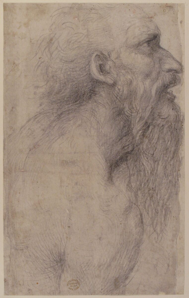 Bust of a Man with Long Beard (recto), Sodoma (Giovanni Antonio Bazzi) (Italian, Vercelli 1477–1549 Siena), Black chalk
