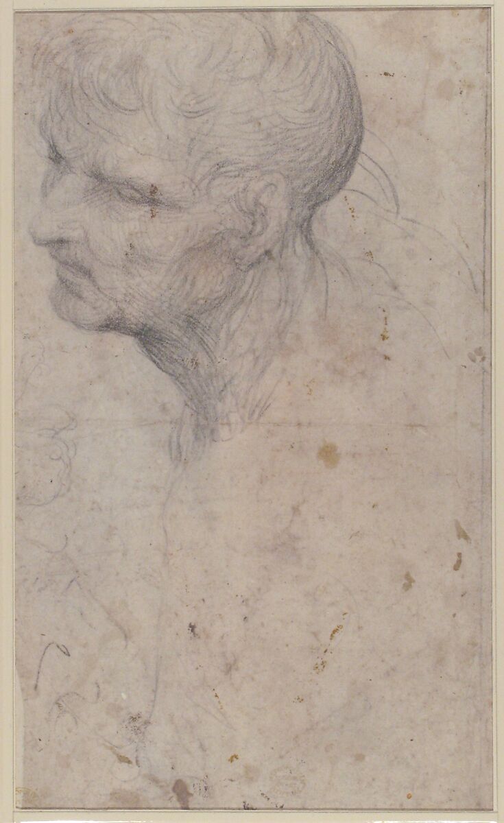 Bust of a Man with Long Beard (recto), Sodoma (Giovanni Antonio Bazzi) (Italian, Vercelli 1477–1549 Siena), Black chalk