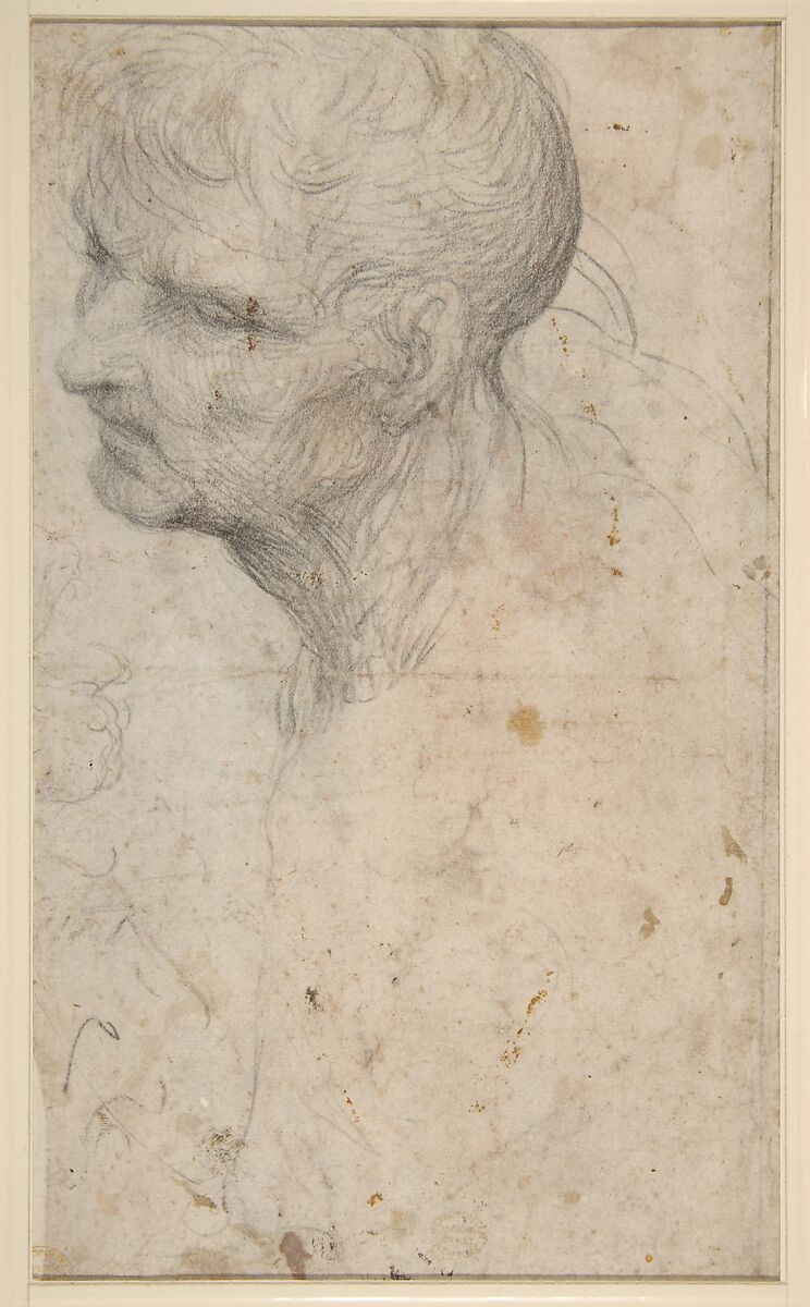 Bust of a Man with Long Beard (recto), Sodoma (Giovanni Antonio Bazzi) (Italian, Vercelli 1477–1549 Siena), Black chalk