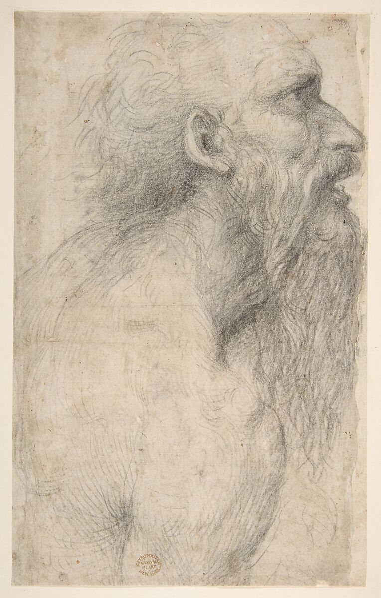 Bust of a Man with Long Beard (recto), Sodoma (Giovanni Antonio Bazzi) (Italian, Vercelli 1477–1549 Siena), Black chalk 