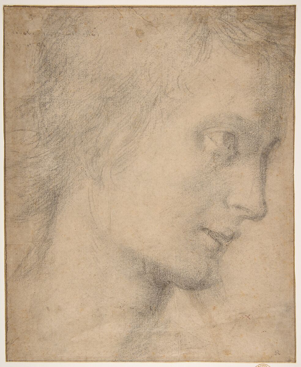 Head of a Youth in Profile (recto); Study of a Seated Figure (verso), attributed to Giovanni Antonio Sogliani (Italian, Florence 1492–1544 Florence), Black chalk (recto and verso) 