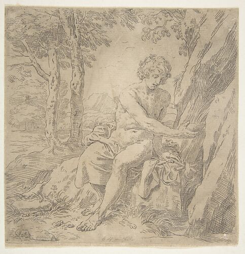 Saint John the Baptist in the desert