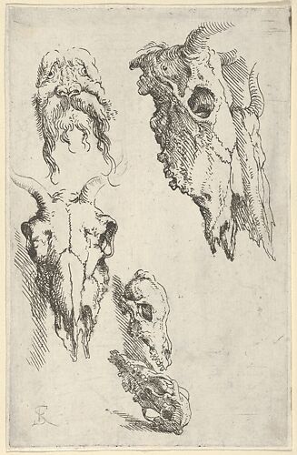 Three ox skulls, two horse skulls, and a grotesque head, study for 
