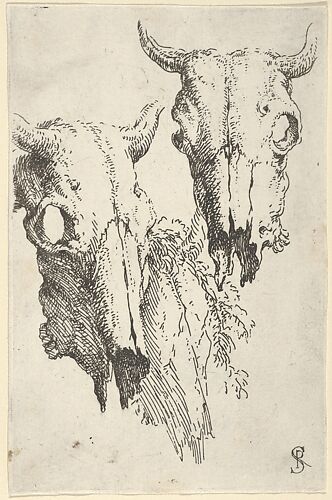 Two ox skulls and a portion of a third, study for 