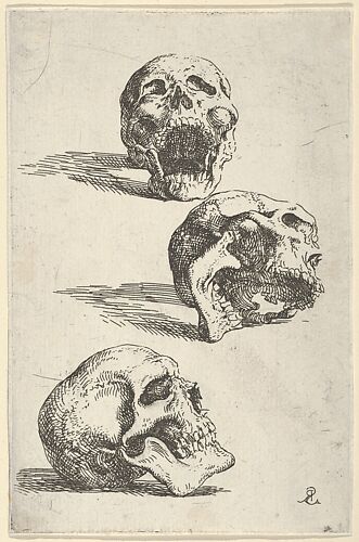 Three human skulls, study for 