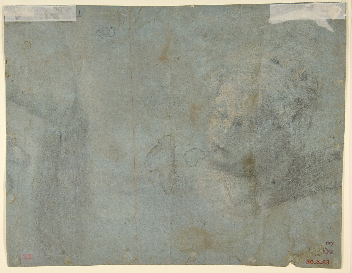 Seated satyr, with enlarged head of same (recto); Head of a woman (verso), Pellegrino Tibaldi (Italian, Puria di Valsolda 1527–1596 Milan), Pen and brown ink, brush and brown wash, with traces of highlighting in white gouache on faded blue paper (recto); black chalk and charcoal highlighted with traces of white chalk (?) (verso)