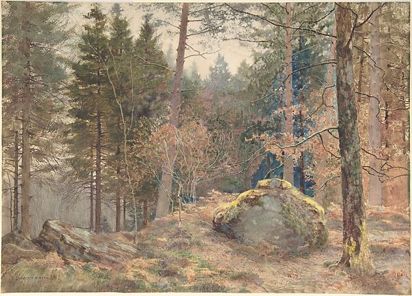 In a Welsh Pine Wood, James Thomas Watts (British, Birmingham 1850–1930 Liverpool), Watercolor over graphite with gum arabic and reductive techniques 