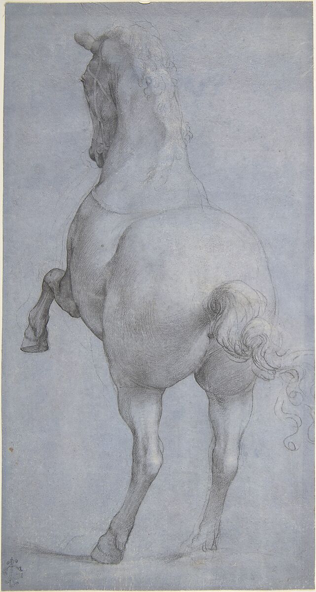 Rearing Horse in Rear Three-Quarter View, Anonymous, Italian, Florentine, 16th century, Black and white chalk on paper prepared with violet wash 