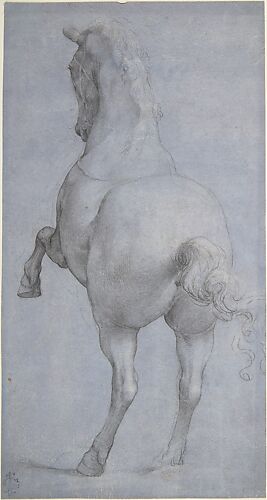 Rearing Horse in Rear Three-Quarter View