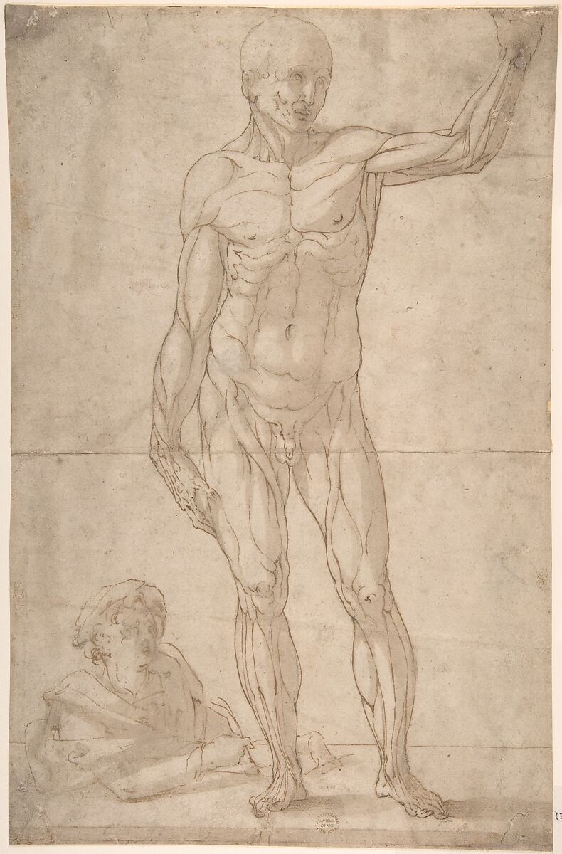 Study of Anatomy (A Youth Drawing an Ecorché of a Standing Man), Anonymous, Italian, 16th to early 17th century, Pen and brown ink, brush and gray-brown wash, over traces of black chalk or leadpoint 