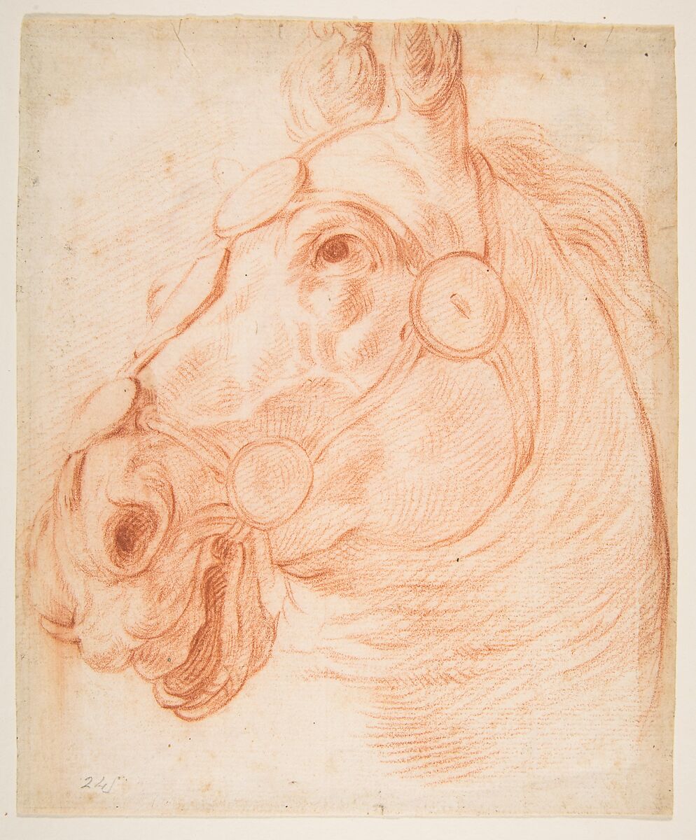 Study for a Horse's Head, Circle of Baldassarre Franceschini (il Volterrano) (Italian, Volterra 1611–1690 Florence) (?), Red chalk 