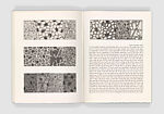 Foirades/Fizzles, Jasper Johns (American, born Augusta, Georgia, 1930), Book with five texts by Samuel Beckett, thirty-three intaglios and one lithograph by Jasper Johns.