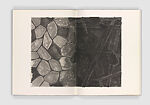 Foirades/Fizzles, Jasper Johns (American, born Augusta, Georgia, 1930), Book with five texts by Samuel Beckett, thirty-three intaglios and one lithograph by Jasper Johns.