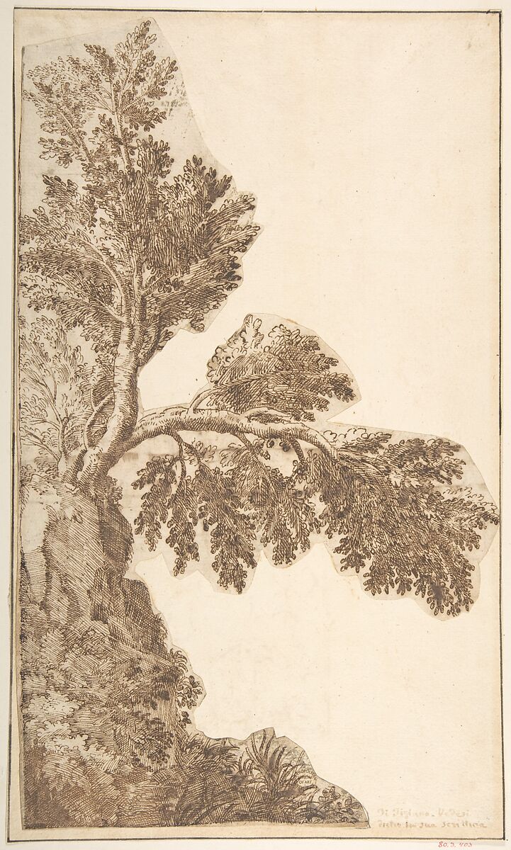 Trees, Anonymous, Italian, Venetian, 15th to 16th century, Pen and ink 
