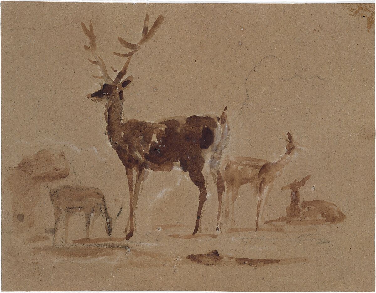 Stag and does, Sir Edwin Henry Landseer (British, London 1802–1873 London), Brush and brown wash over graphite