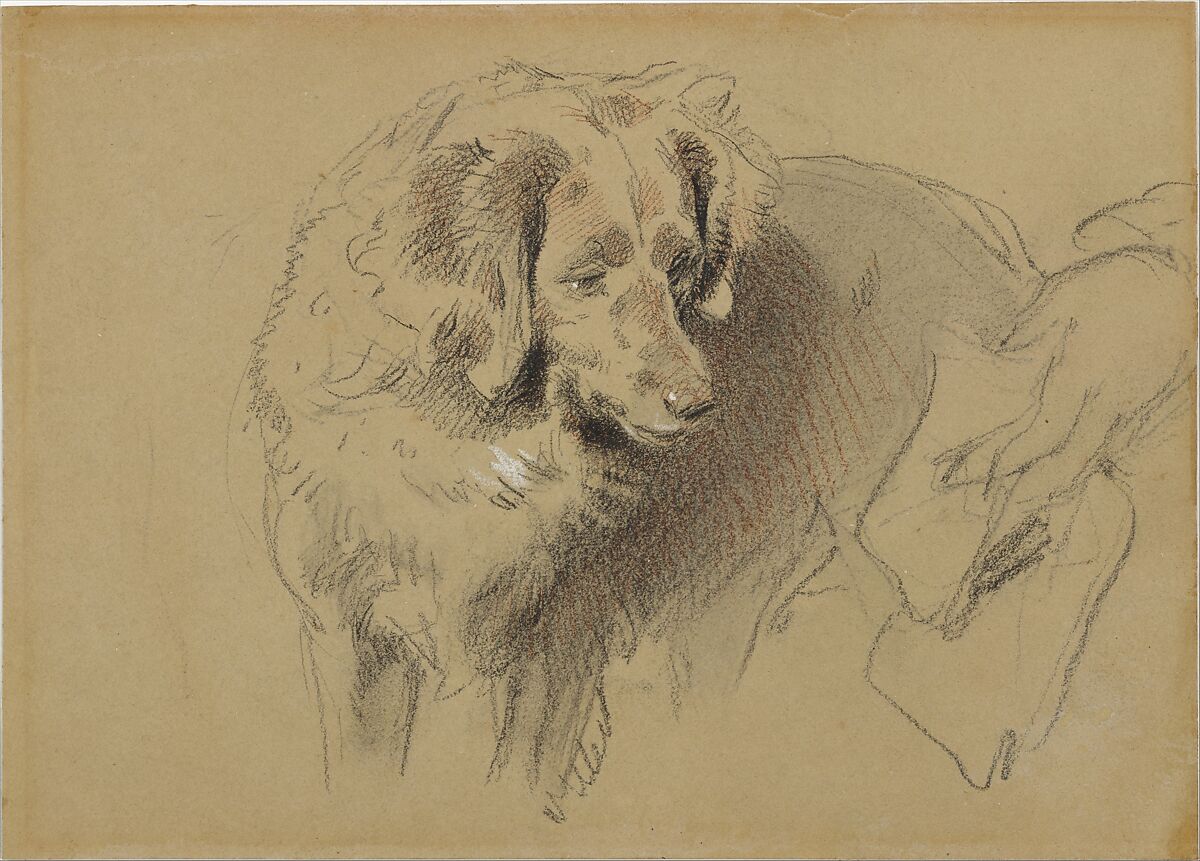 Study of a dog, Sir Edwin Henry Landseer (British, London 1802–1873 London), Black chalk heightened with white and red chalk 