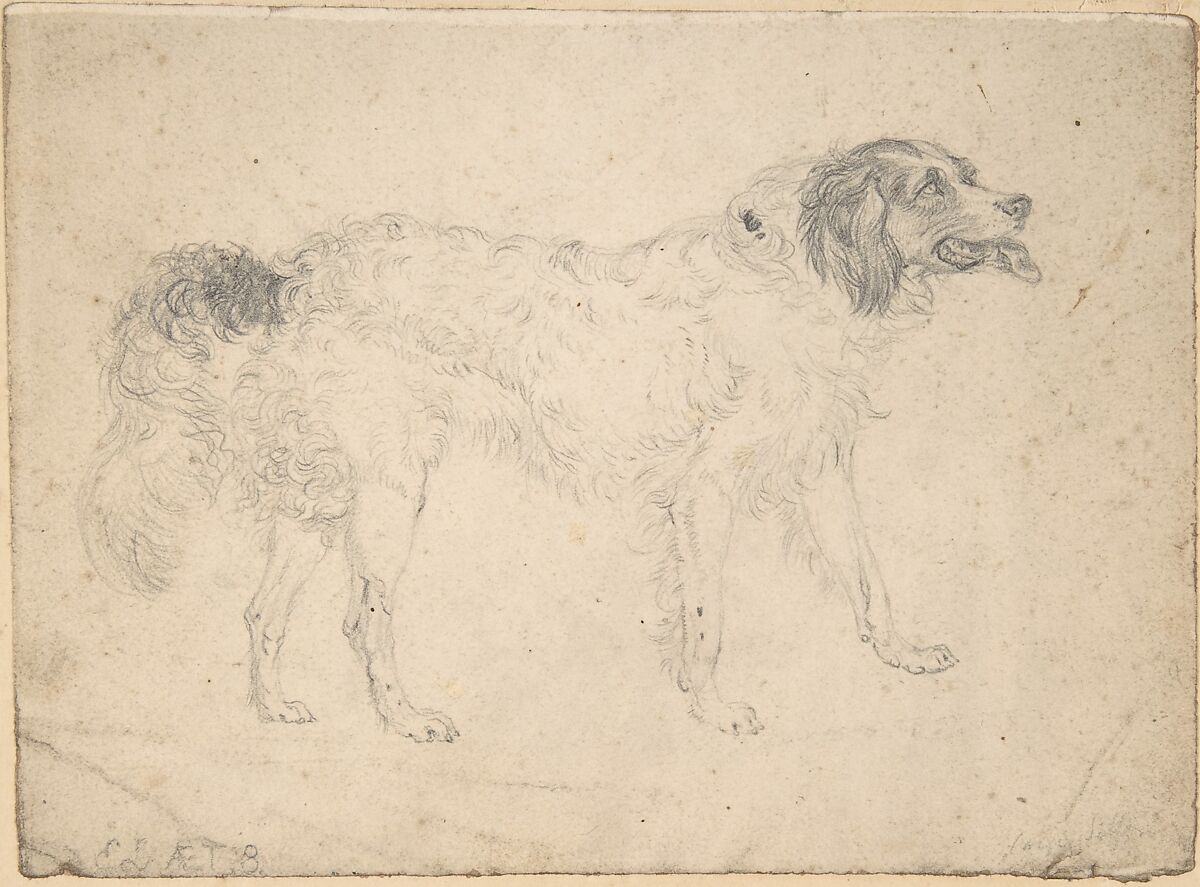 Study of a herding dog facing right, Sir Edwin Henry Landseer (British, London 1802–1873 London), Graphite 