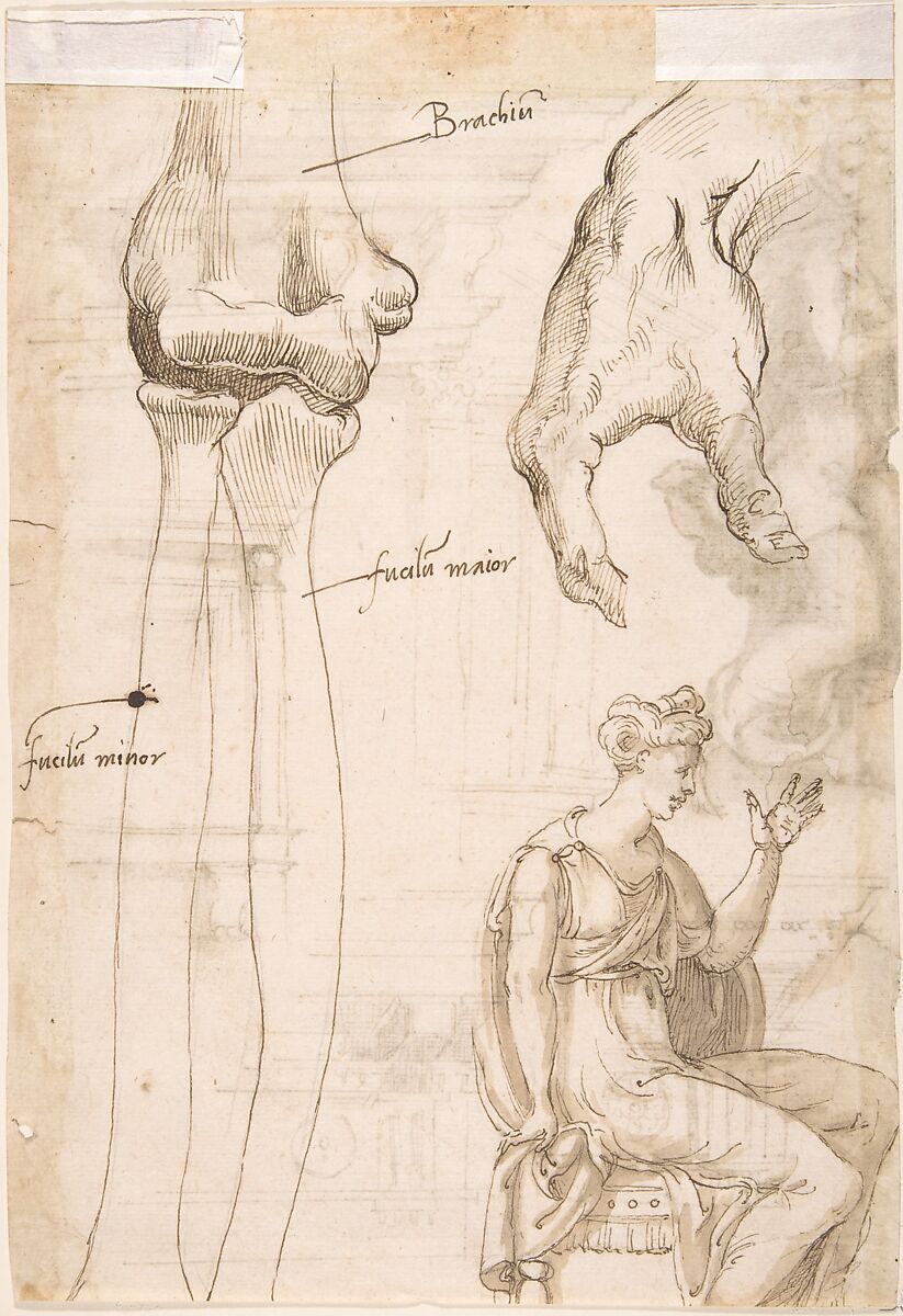 Architectural Sketches and a Figure (recto); Figure and Anatomical Sketches (verso), Anonymous, Italian, 16th century (Italian, active Central Italy, ca. 1550–1580), Pen and brown ink, brown wash