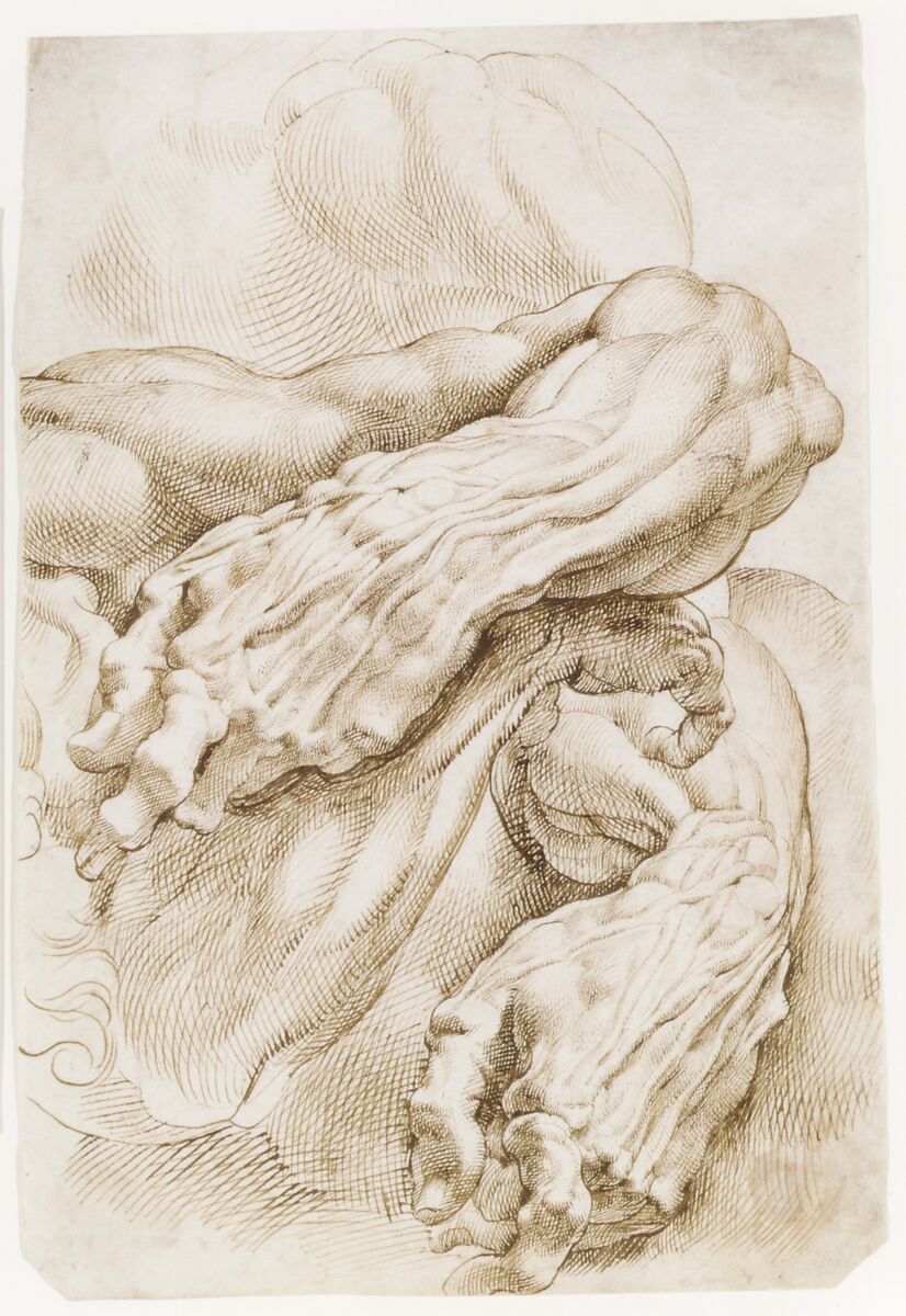 Anatomical Studies: a left forearm in two positions and a right forearm, Peter Paul Rubens (Flemish, Siegen 1577–1640 Antwerp), Pen and brown ink
