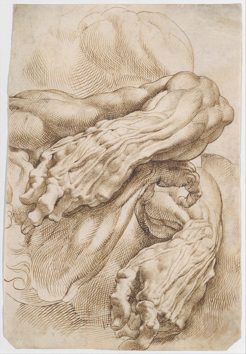 Anatomical Studies: a left forearm in two positions and a right forearm, Peter Paul Rubens (Flemish, Siegen 1577–1640 Antwerp), Pen and brown ink