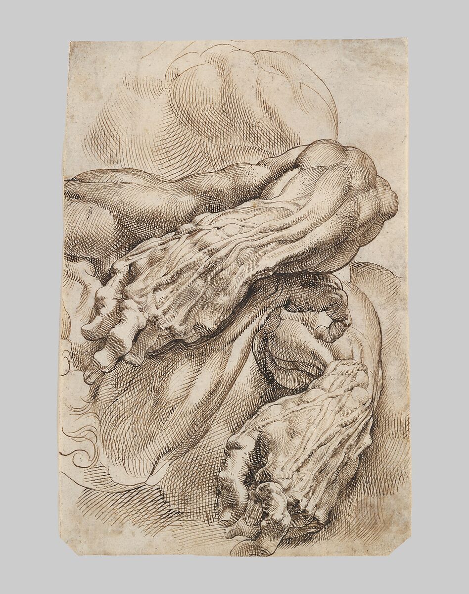 Anatomical Studies: a left forearm in two positions and a right forearm, Peter Paul Rubens (Flemish, Siegen 1577–1640 Antwerp), Pen and brown ink