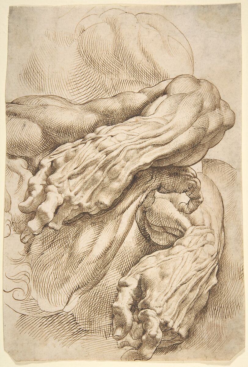 Peter Paul Rubens Anatomical Studies a left forearm in two positions