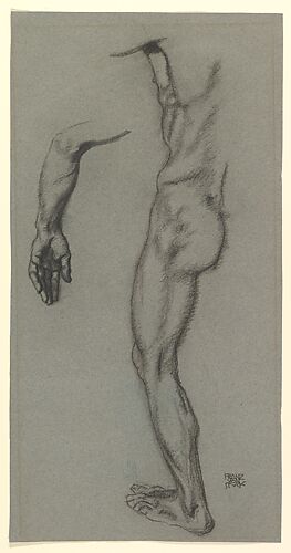 Study of the Left Arm and the Left Side of a Male Nude
