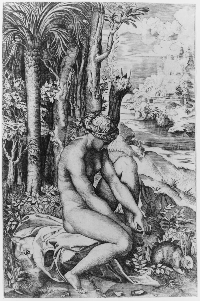Venus removing a thorn from her left foot while seated on a cloth next to trees, a hare lower right, Marco Dente (Italian, Ravenna, active by 1515–died 1527 Rome), Engraving