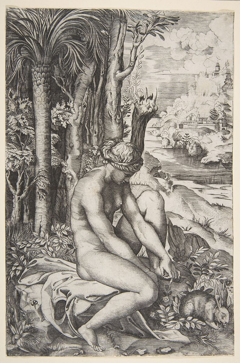 Venus removing a thorn from her left foot while seated on a cloth next to trees, a hare lower right