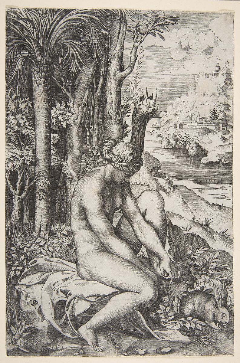 Venus removing a thorn from her left foot while seated on a cloth next to trees, a hare lower right, Marco Dente (Italian, Ravenna, active by 1515–died 1527 Rome), Engraving 