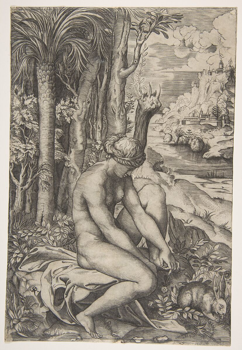 Venus removing a thorn from her left foot while seated beside trees and foliage, a hare eating grass before her, Marco Dente (Italian, Ravenna, active by 1515–died 1527 Rome), Engraving 