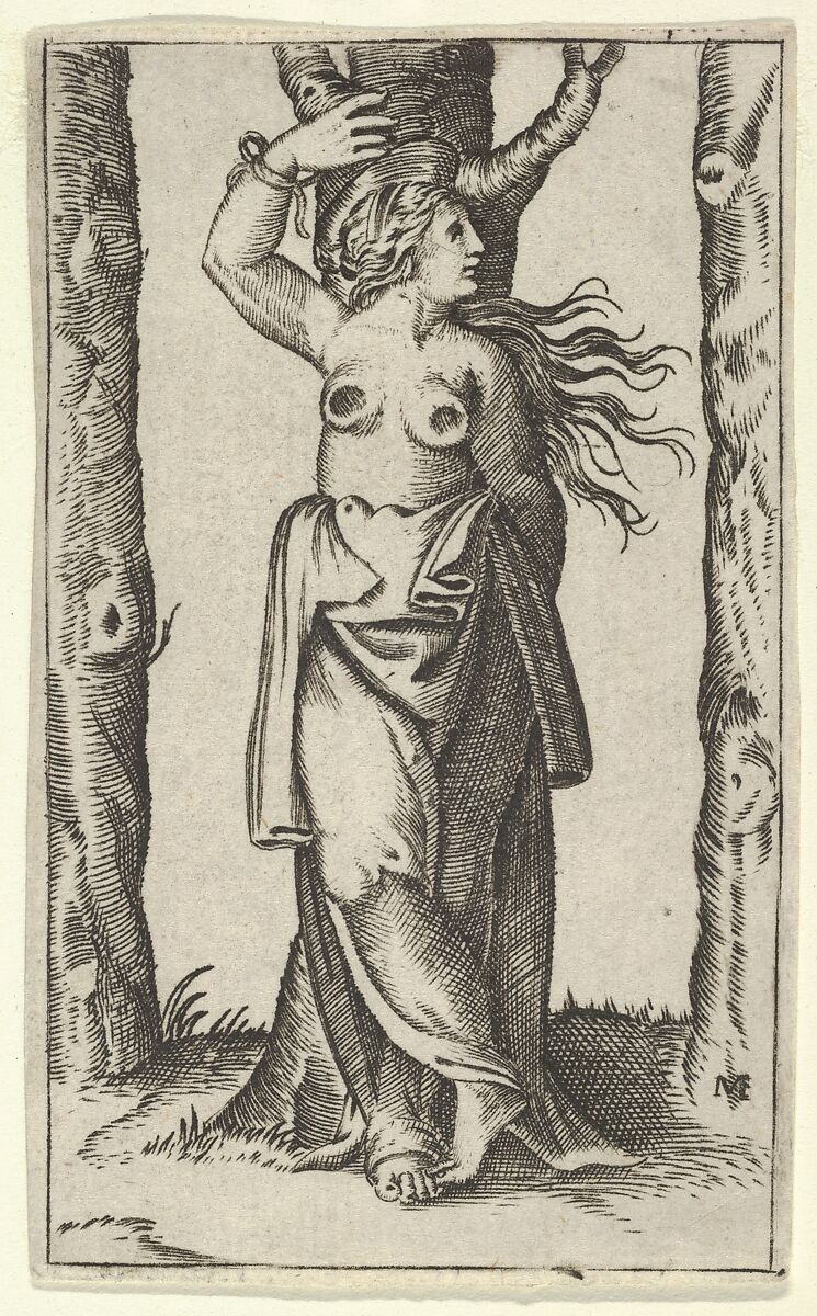 Saint Agatha tied to a tree, her breasts cut off, from "Piccoli Santi" (Small Saints), Anonymous, Engraving 
